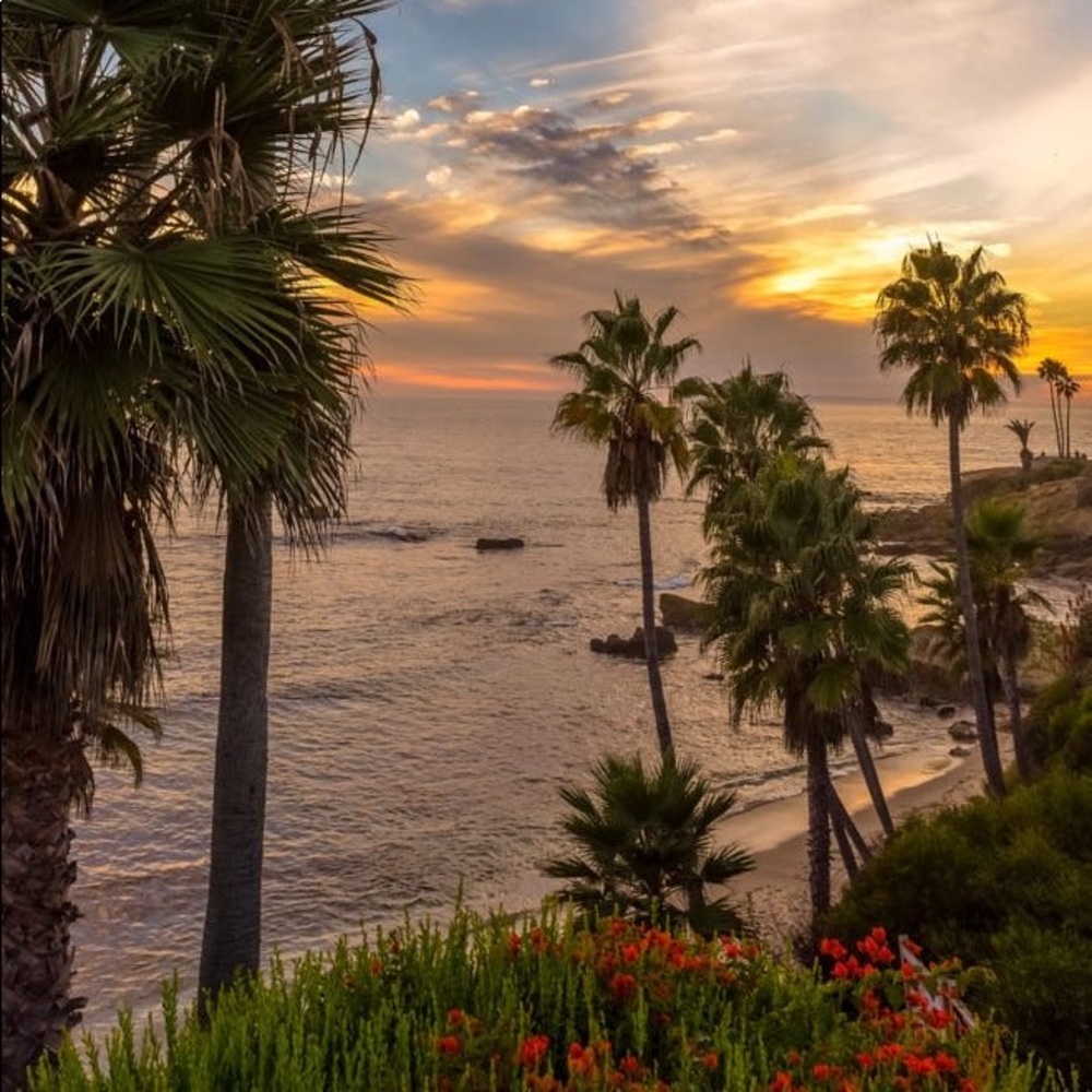 Meet your Posher, Sofia